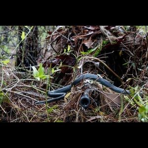 Meet your Posher, Troy